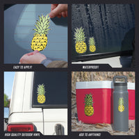 Thumbnail for Pineapples