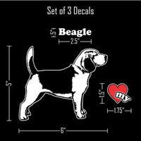 Thumbnail for Beagle