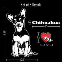 Thumbnail for Chihuahua