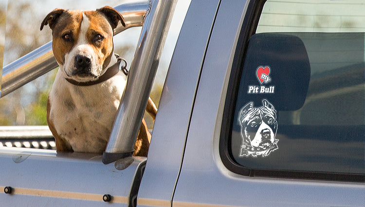 Pet Lifestyle Decals