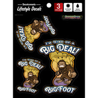 Thumbnail for Big Foot Big Deal