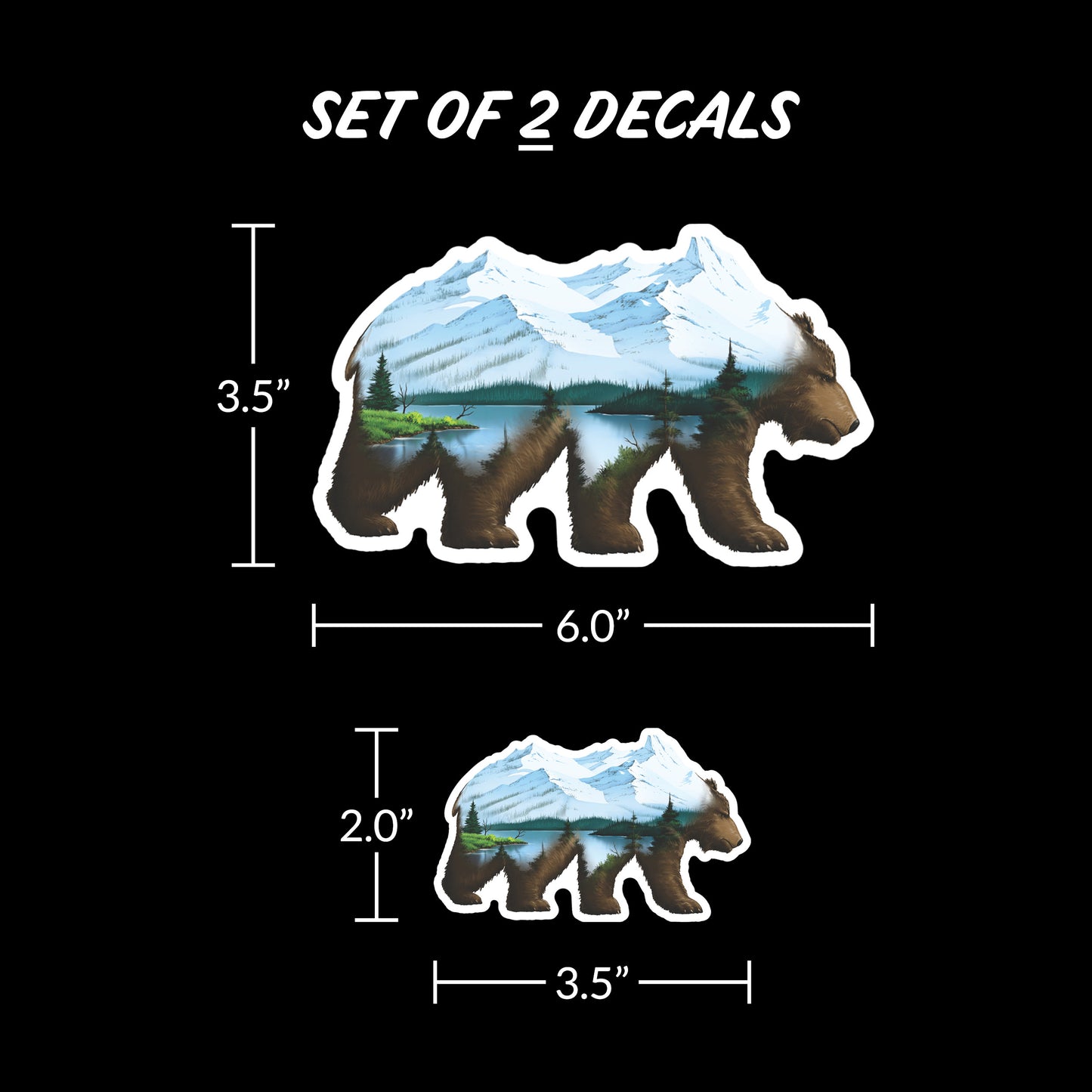 Mountain Bear