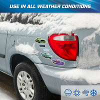 Cars - Ramone & Friends