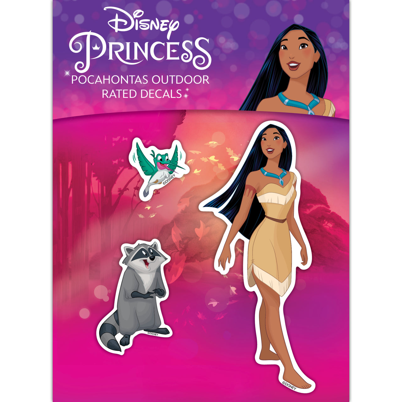 Disney Princess Pocahontas