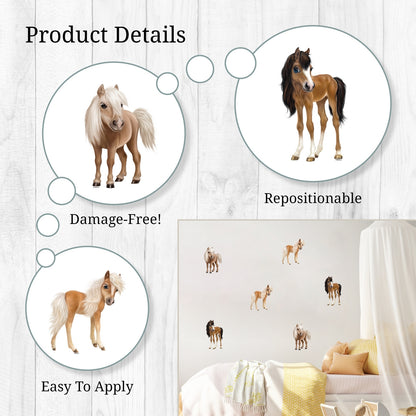 Horses Wall Decals