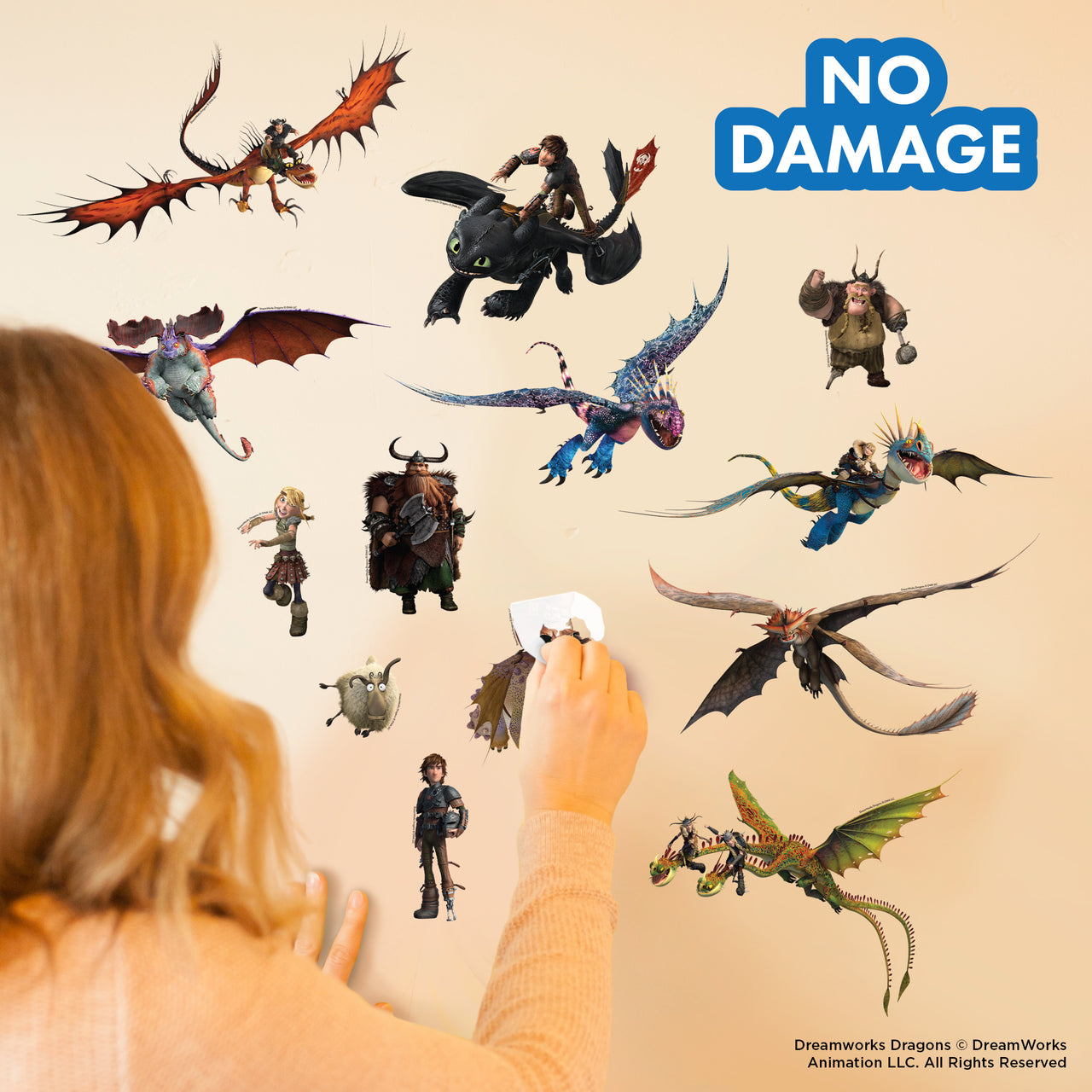 How to Train Your Dragon Wall Decals