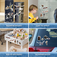 How To Train Your Dragon - Value Pack