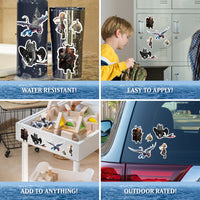 How To Train Your Dragon - Toothless & Friends