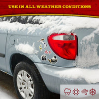 Kung Fu Panda - Po & Friends