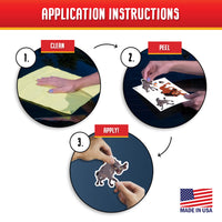 Lion King - Scar & Friends