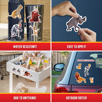 Lion King - Value Pack