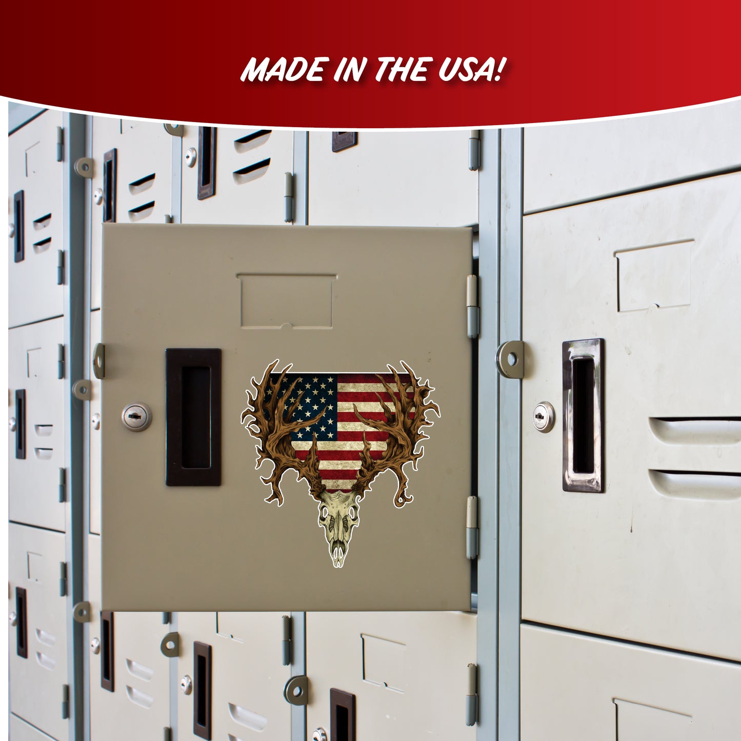 Deer Skull