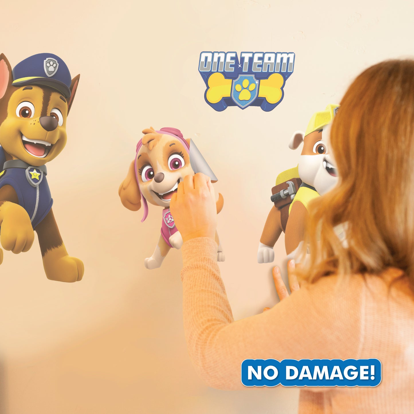 Paw Patrol Group Wall Decals