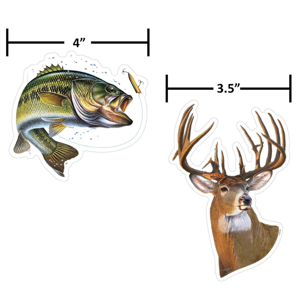 Deer Bass