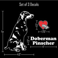 Thumbnail for Doberman Pinscher