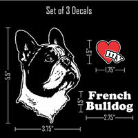 Thumbnail for French Bulldog