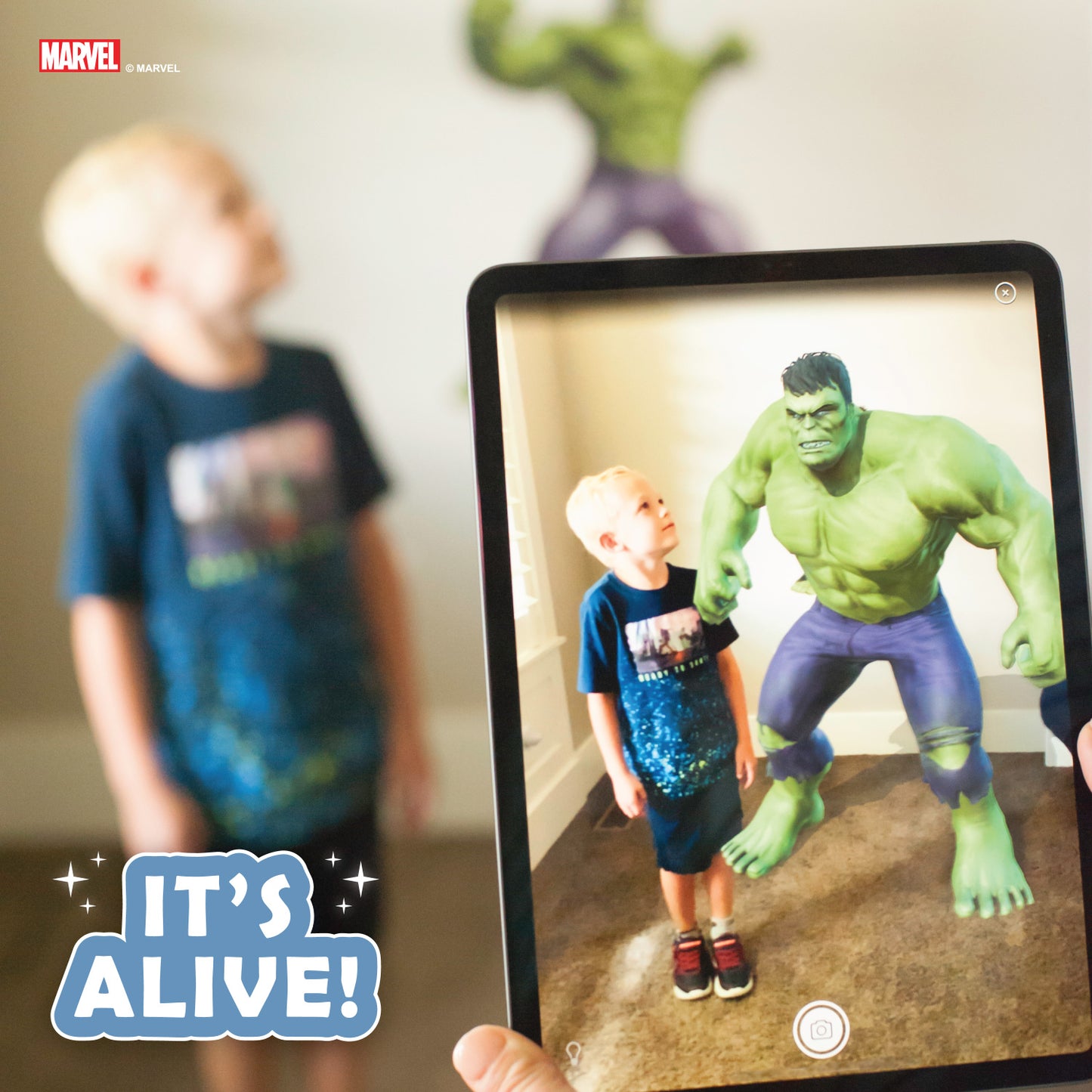 Hulk Wall Decor