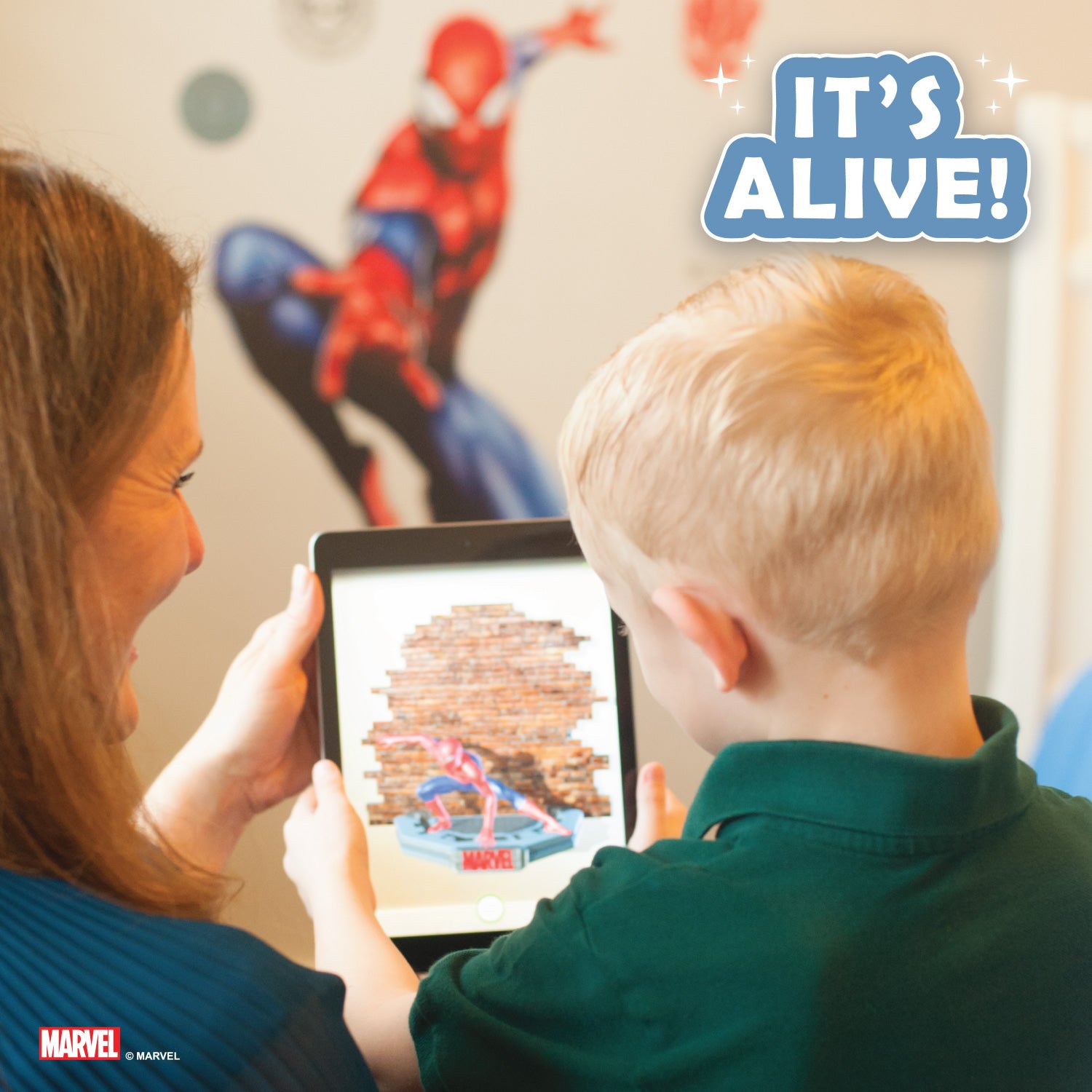 Spiderman Decals