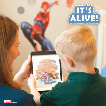 Spiderman Decals
